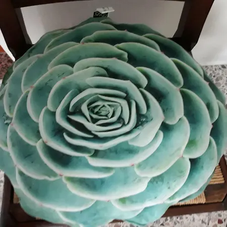 Divino Appartamento *